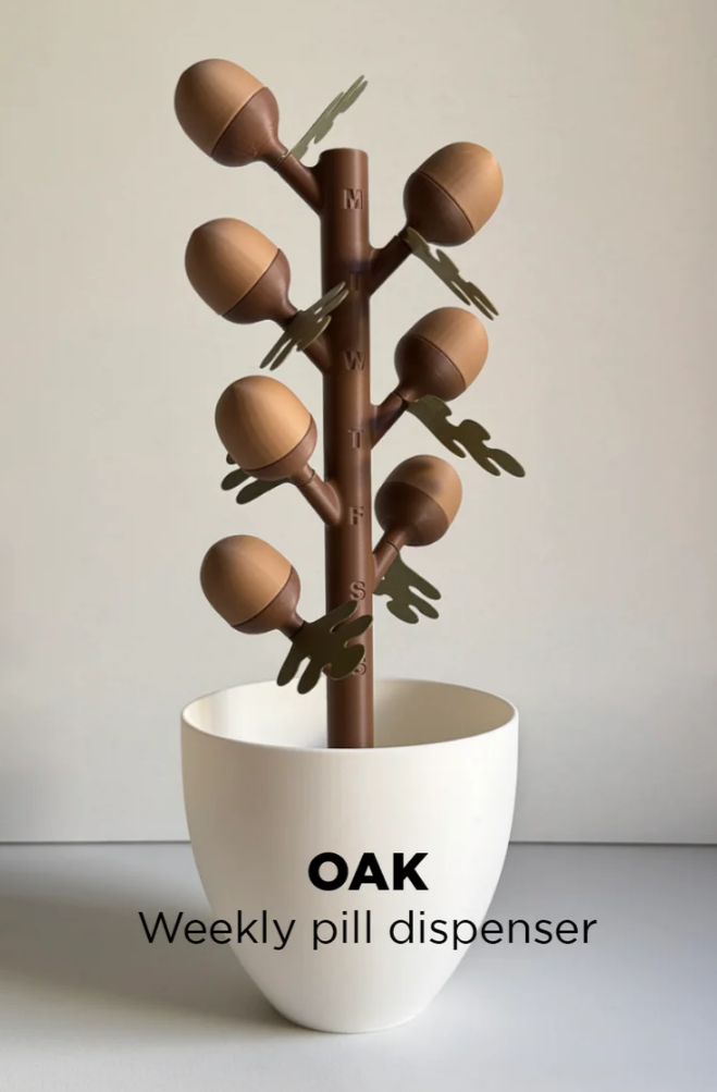 Oak Tree Weekly Pill Organizer, Acorn Pill Dispenser, 7 Day Medication Box, Decorative Vitamin Holder, 3D Printed Organizer