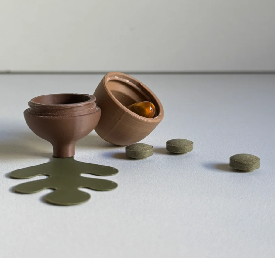 Oak Tree Weekly Pill Organizer, Acorn Pill Dispenser, 7 Day Medication Box, Decorative Vitamin Holder, 3D Printed Organizer